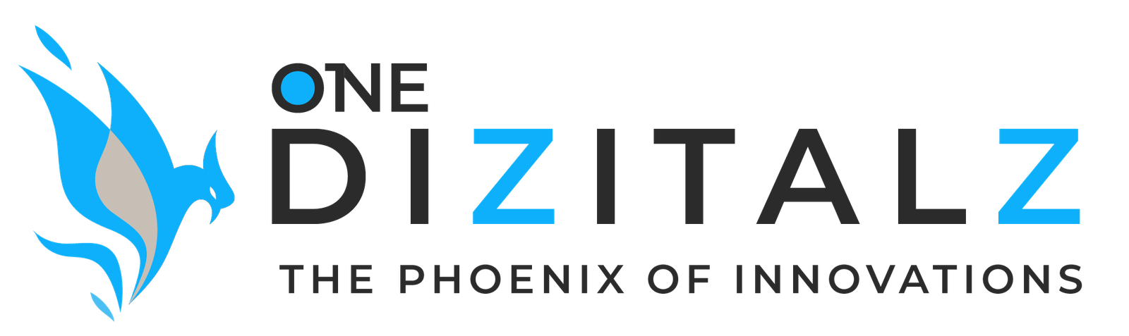 dizitalz